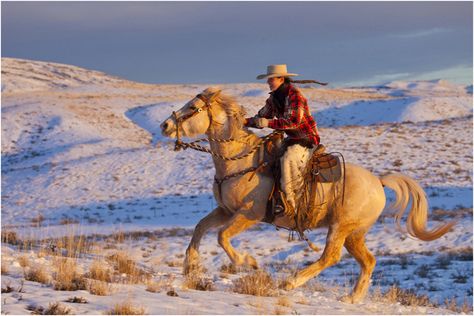 Snow Horse, Cowboy Poses Reference Horse, Cowboy On Horse Reference, Cowboy On A Horse, Cowboys On Horses, Cowboy Riding Into Sunset, Horses In Snow, Cowboy Photography, Cowboy Pictures