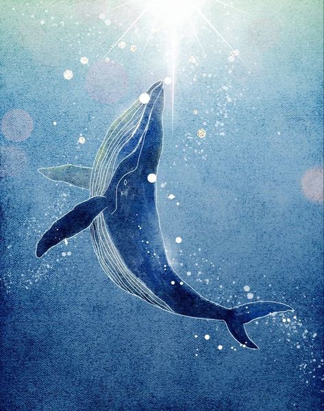 Hope Artwork Illustrations, Cute Whale Painting, Fantasy Whale Art, Whale Illustration Wallpaper, Whale Painting Ideas, Sky Whale Art, Whale Reference, Drawings Of Whales, Whales Drawing