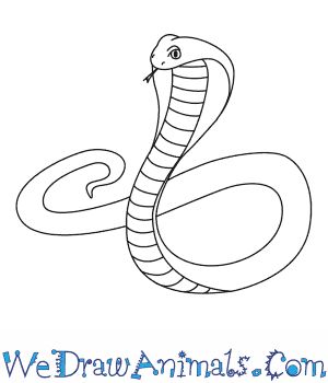 https://www.wedrawanimals.com/how-to-draw-a-king-cobra/ King Cobra Snake, Snake Drawing, Venomous Snakes, Easy Animal Drawings, Alphabet Pictures, Boho Art Drawings, Easy Animals, Cobra Snake, Cute Snake