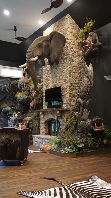 Displaying Animal Hides, Trophy Hunting Room, Taxidermy Room Ideas, Animal Mounts Decor, Western Mansion, Man Cave Aesthetic, Taxidermy Wall Display, Hunting Trophy Room, Trophy Rooms Hunting