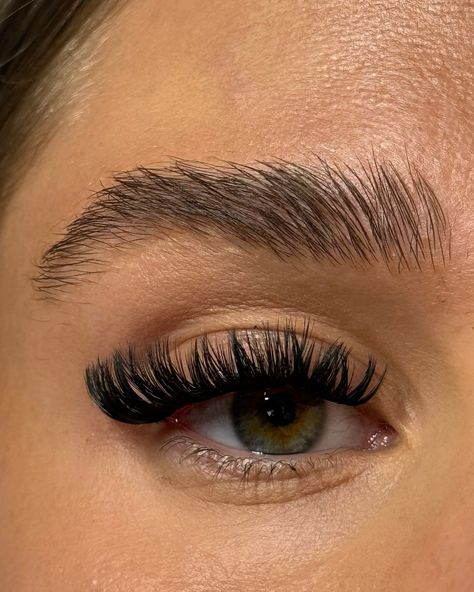 SL15 Russian diy lash extensions are dreamy😍these come in a pack of 57pcs , in a travel sized pack perfect to take on holiday, they last up to 7 days with our bond and seal (sold separately) and can be reused☁️✨ #diylashesathome #diylashextensions #athomelashextensions Mesmerizing Eyes, Individual Eyelash Extensions, Diy Lash Extensions, C Curl, Individual Eyelashes, Dramatic Look, On Holiday, Lash Extensions, Eyelash Extensions