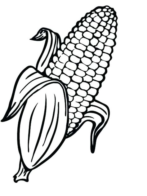 Corn Coloring Page, Corn Drawing, Rainbow Corn, Candy Coloring Pages, Vegetable Coloring Pages, Pictures To Color, Fruit Coloring Pages, Free Coloring Sheets, Illustration Photo