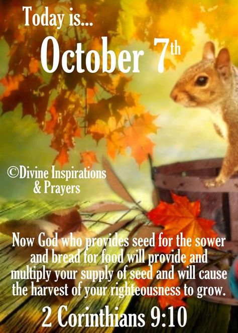 October 7 Blessings, October Scripture, October Prayer, October Blessings, November Blessings, Divine Inspiration And Prayers, October Images, October Daily, Tree Poem