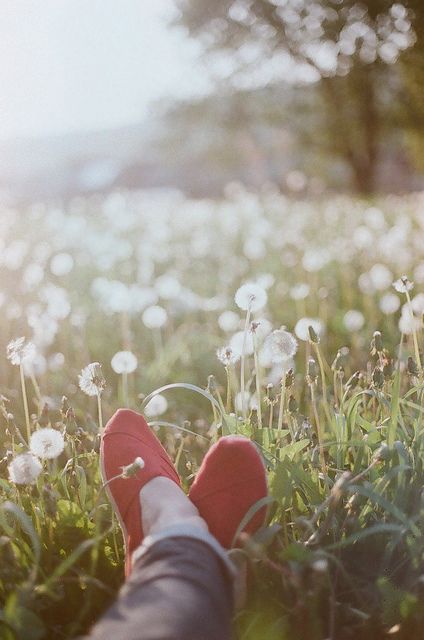 . A Simple Life, Foto Tips, Live Simply, The Grass, Simple Living, A Quote, Simple Life, Make A Wish, Country Life