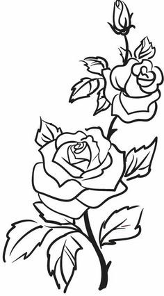 Roses, flowers, vine, leaves, bud, open, clip art, black and white Tatt00 Ideas, Rose Outline Tattoo, Rose Outline, Furniture Stencils, Svg Fonts, Two Roses, Flower Outline, Butterfly Tattoos, Rose Drawing