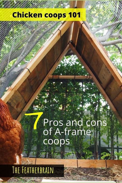 Learn if a DIY A-frame chicken coop is right for you, where to find easy DIY plans, and how to build your own A-frame coop, whether large or small! Easy Diy Chicken Coop Plans, Frame Chicken Coop, Decorating Backyard, Coop Layout, Easy Diy Chicken Coop, Chicken Coop Designs Diy, A Frame Chicken Coop, Chicken Coop Plans Free, Coop Run