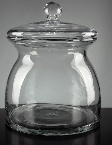 site has tons of crafting stuff and discounted prices Glassware Crafts, The Bell Jar, Apothecary Jars, Bottles And Jars, Glass Jar, Apothecary, Craft Gifts, Glass Jars, Craft Room