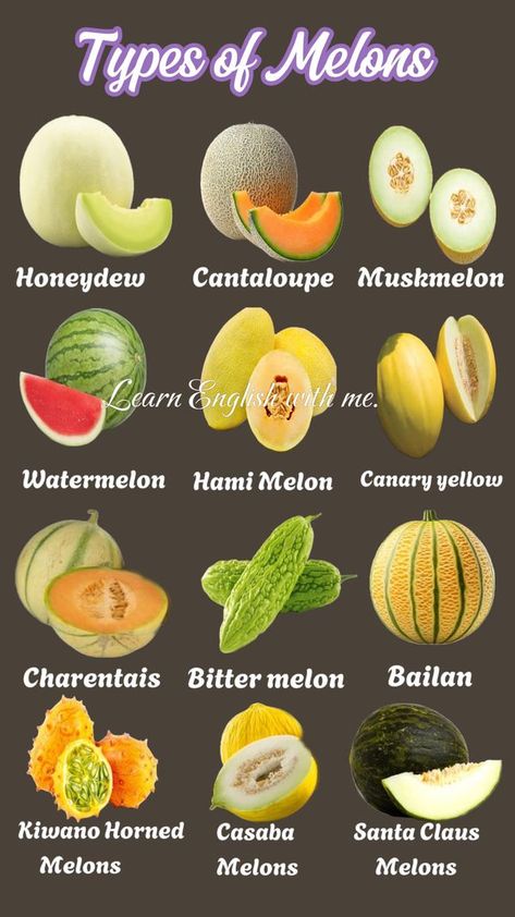 Types Of Melons, Santa Claus Melon, Low Cal Snacks, Bitter Melon, Low Cal, Kitchen Tips, Honeydew, Kitchen Hacks, Aesthetic Food