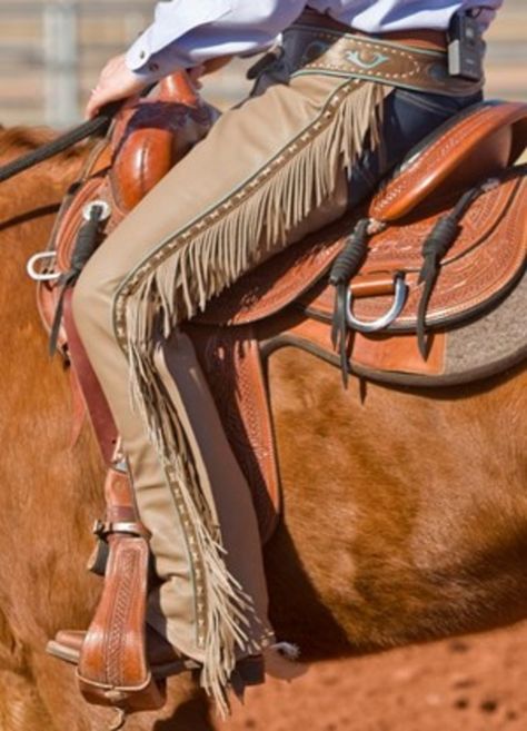 Stable Management, Horse Hacks, Wornstar Clothing, Training Horses, Matt Taylor, Cowboy Chaps, Western Chaps, Western Boots Outfit, Ranch Riding