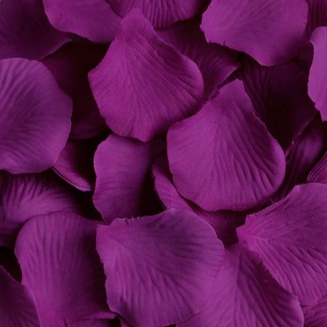 AEXGE Wholesale 600 Pack Silk Rose Petals Wedding Artific... http://smile.amazon.com/dp/B00MBI797G/ref=cm_sw_r_pi_dp_HJ-qxb0N76FKN Rose Petals Wedding, Silk Rose Petals, Rose Violette, Wedding Petals, Purple Decor, Wedding Table Flowers, Silk Flowers Wedding, Silk Rose, Purple Rose