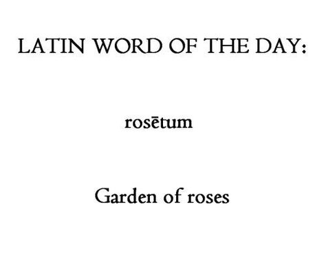 May 27 prompt and poem  #poetAriel #Ariel #poetryprompt #writingprompt  #May #MayChallenge #poetry #poems #PADChallenge #PoemPAD Latin Quotes, Latin Phrases, Latin Word, Uncommon Words, Unusual Words, Rare Words, Latin Words, Unique Words, Aesthetic Words