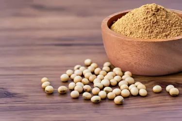 Soya Powder Vs. Soy Flour Soya Drink, Food Program, Soya Bean, Types Of Flour, Soy Products, Powder Recipe, Protein Sources, Meat Dishes, Protein Shakes