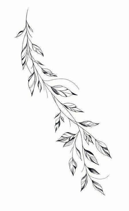 Pretty Tattoo Outlines, Vine And Flower Drawing, Vine And Leaf Tattoo Design, Vine Tattoos Stencil, Vine Tattoo Outline, Foliage Tattoo Sleeve, Leaf Vine Drawing, Vine Drawing Tattoo, Vine Line Drawing