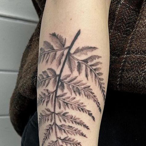 April 20, Blackwork Tattoo, Black And Grey Tattoos, Botanical Illustration, Plant Lover, Botanical Art, Ink Tattoo, Blackwork, Fern