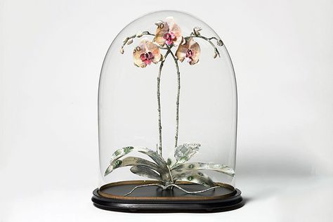 Nature Paper, Flower Sculptures, Collage Making, Paper Sculpture, Botanical Flowers, Glass Dome, Plant Design, Glass Domes, Craft Inspiration