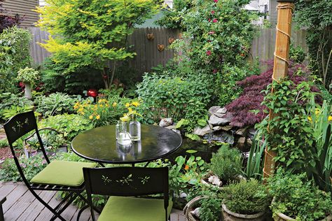 Two Takes on a Courtyard Garden - FineGardening Walled Courtyard Garden, Flower Bed Decor, Small Courtyard, Garden Decoration Ideas, Side Yard Landscaping, Courtyard Gardens, Garden Nook, Small Courtyard Gardens, Gardens Ideas