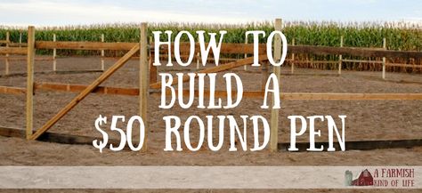 When my husband told me he could build a round pen for only $50, I thought he was kidding. He wasn't. Here's how he did it. Diy Round Pen, Round Pens For Horses, Horse Farm Layout, Horse Pens, Horse Farm Ideas, Horse Arena, Horse Shelter, Horse Barn Plans, Horse Fencing