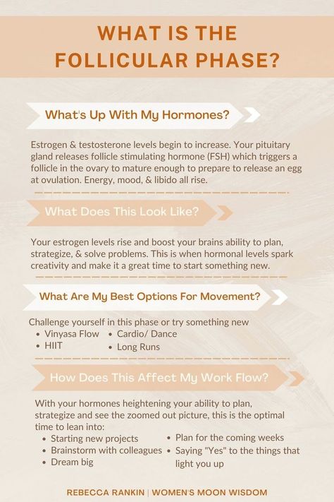 Rebecca Rankin | Women's Moon Wisdom | Not sure what the follicular phase of your cycle is and how it affects your body? Take some time to read through this graphic, but also click and listen to my podcast epsiode all about the follicular phase of your cycle! Learn about how to navigate the hormonal changes taking place and how to harness them to feel your best self! Click to listen!! Hormone Nutrition, Menstrual Cycle Phases, Follicular Phase, Period Cycle, Follicle Stimulating Hormone, Waxing Moon, Womb Healing, Healthy Hormones, Menstrual Health