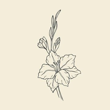 Gladiolus Drawing Tattoo, Gladiolus Flower Line Drawing, Gladiolus Line Art, Gladiolus Drawing Simple, Simple Gladiolus Flower Tattoo, Gladiolus Line Drawing, Gladiolus Flower Drawing Simple, Gladiolus Sketch, Gladiolus Tattoo Simple