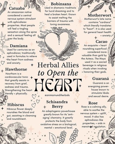 Rest And Digest, Heart Openers, Sympathetic Nervous System, Heart Feelings, Medical Herbs, Heart Rhythms, Magic Herbs, Magical Herbs, Herbal Apothecary