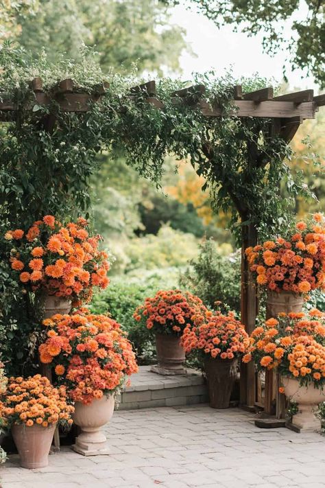 9 Creative Ways To Use Potted Mums In Your Wedding • Mums Ceremony Decor, Fall Weddings With Mums, Mums Fall Wedding, Mums Aisle Wedding, Mums Flowers Wedding Decor, Wedding Flowers Timeless, Wedding Potted Flowers, Mums As Wedding Decor, Wedding Mums Decor