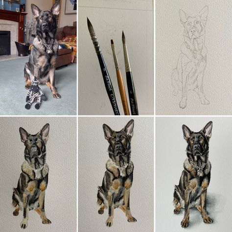 6 photos of my watercolour process to paint a German Shepard dog. Painted in stages on A5, cold press paper. Watercolour Dogs, Shepard Dog, Process Painting, Dog Watercolor Painting, Leicester Uk, Inspiring Artists, Portraits Art, Art Commissions, Animal Portraits Art