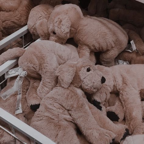 Teddy Bears, Stuffed Animals, Bears, Animals