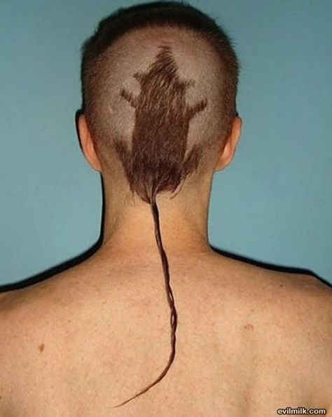 Rat Tail Haircut, Haircut Fails, Bad Haircut, Rat Tail, Corte De Cabelo Masculino, Hair Photo, Crazy Hair, Bad Hair Day, Hair Humor