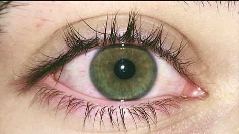 Dark Green Eyes Aesthetic, Green Eye Makeup Looks, Color Combinations Green, Green Eye Color, Green Eyes Aesthetic, Olive Green Eyes, Green Eyes Makeup, Dark Green Eyes, Green Eye Makeup