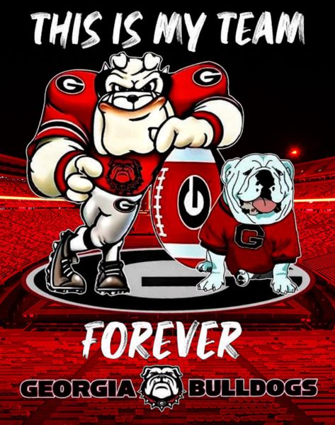 Georgia Bulldogs Quotes, George Football, Bulldog Meme, Georgia Bulldog Mascot, Dawgs Football, Bulldog Quotes, Bulldog Wallpaper, Georgia Bulldawgs, Bulldog Drawing