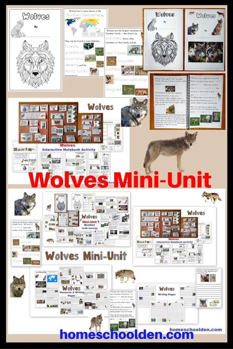 Wolves Preschool Activities, A Wolf Called Wander Activities, Wolf Unit Study, Wolf Activities For Kids, Wolf Activities, Coyote Facts, Wolf Crafts, Frozen Kingdom, Wolf Craft