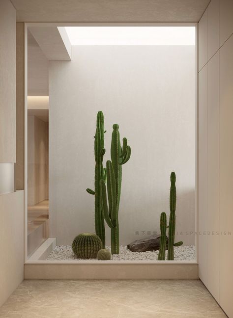 Patio Interior, Modern Houses Interior, Pilates Studio, Cactus Garden, Interior Garden, Cafe Interior, White Decor, Dream Home Design, 인테리어 디자인