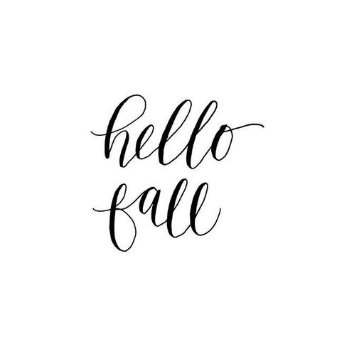 Normal Is An Illusion, Welcome Wood Sign, Fall Wood Signs, Autumn Quotes, Autumn Scenes, Fall Feels, Fall Signs, Fall Prints, Best Seasons