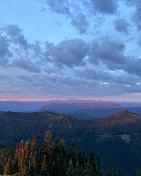 Found the prettiest sunrise this morning overlooking Mount Rainier Mt Reiner, Oregon State, Retro Cars, Mount Rainier, Fan Page, Olympia, This Morning, Oregon, Chloe