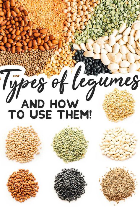 What are legumes? And should you be eating more of them? Everything you need to know about buying, storing, and cooking legumes here! #legumes #vegetarian #vegan #glutenfree #beans #chickpeas #peas Eat More Beans, Types Of Legumes, Beans And Legumes Recipes, Best Plant Based Proteins, Types Of Beans And Legumes, Healthy Vegetarian Dinner, Food Scientist, Best Beans, How To Cook Beans