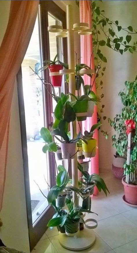 Plant Stand Decor Ideas, Orchid Stand, Orchid Ideas, Plant Stand Decor, Hanging Orchid, Indoor Orchids, Orchid Plant Care, Orchid Roots, Types Of Orchids