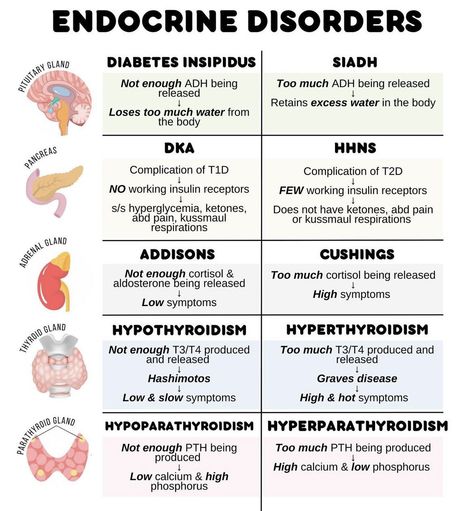 Endocrine Disorders #Endocrine #Endocrine_disorders Nclex Endocrine System, Endocrine Disorders Nursing, Endocrine System Notes, Pathophysiology Notes, Endocrine System Nursing, Nursing School Studying Cheat Sheets, Nursing Study Tips, Medical Notes, Nursing School Motivation