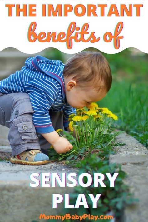 Sensory Bin Benefits, Benefits Of Sensory Bins, Sensory Play Benefits, Benefits Of Sensory Play, Sensory Play Quotes, Sensory Processing Disorder Activities, Sensory Processing Disorder Symptoms, Mindful Activities, Sensory Play Toddlers