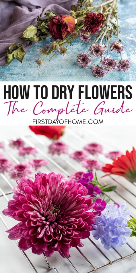 How To Dry Out Flowers, Diy Pressed Flower Art, How To Dry Flowers, Flower Drying, Dried Flowers Crafts, Preserving Flowers, Preserve Flowers, Pressed Flowers Diy, Drying Flowers