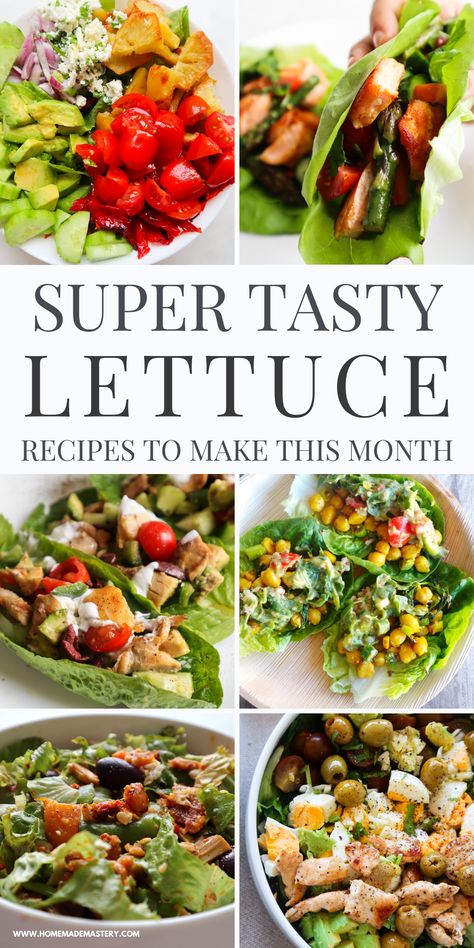 Chicken Lettuce Salad, Romaine Lettuce Recipe, Chickpea Lettuce Wraps, Buttercrunch Lettuce, Healthy Dinner Salads, Lettuce Salad Recipes, Lettuce Recipes, Green Salad Recipes, Chickpea Salad Recipes