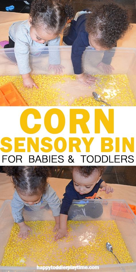 Corn Sensory Bin – HAPPY TODDLER PLAYTIME Kernels of corn are both fun to eat and fun to play with! Here is a fun sensory bin activity for babies, toddlers and preschoolers! #sensorybin #toddleractivities Corn Sensory Bin, Infant Sensory, Baby 12 Months, Infant Room, Sensory Bags, Toddler Homeschool, Baby Sensory Play, Curious Kids, Homeschool Programs