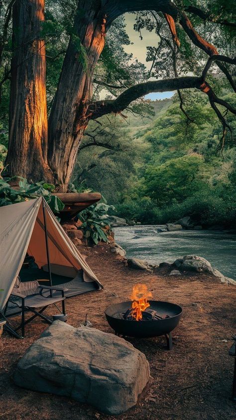 Off Grid Glamping, Camping Tent Aesthetic, Fun Life Aesthetic, Vintage Camping Photos, Camper Aesthetic, Fire In The Woods, Adventurous Aesthetic, Camping In Nature, Canada Camping