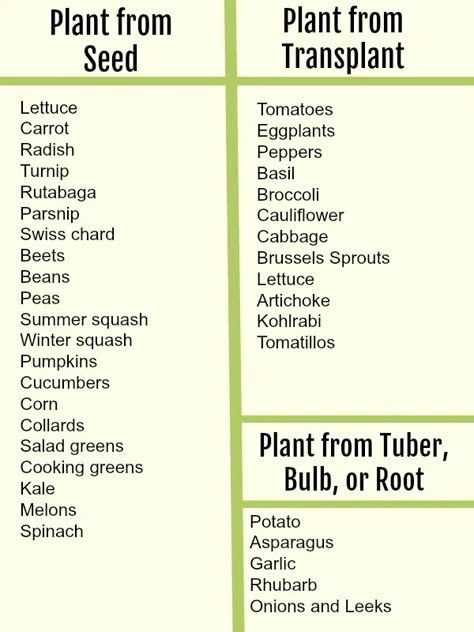 How to Start a Vegetable Garden Fast (And on a Budget!) Start A Vegetable Garden, Vegetable Garden Ideas, Vegetable Garden Planning, Starting A Vegetable Garden, Vegetable Garden Diy, Garden Wallpaper, Garden Veggies, Starting A Garden, Veg Garden