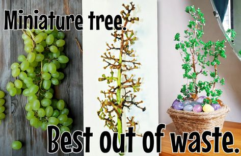 Miniature tree craft by using grapes stem. Grape Stem Craft, Waste Craft Ideas, Stem Crafts, Diy Tree, Tree Craft, Miniature Trees, Best Out Of Waste, Stem Projects, Recycled Projects