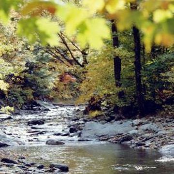 Fence for a stream Outdoors Crafts, Fencing, Fence, Country Roads, Yard, Road, Natural Landmarks, Water, Travel