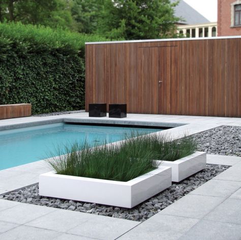 20 Gorgeous Planters by the Swimming Pool Pools Design, Raised Pond, Swimming Pool Landscaping, Landform, Pool Landscape Design, Plants Growing, Backyard Pools, Modern Garden Design, Modern Pools