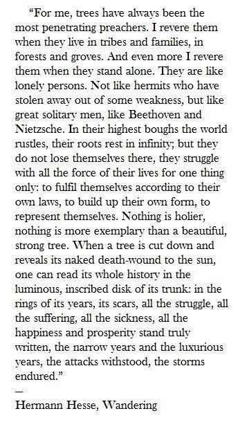 Hermann Hesse, 'Wandering: Notes and Sketches' (pub.1920) Herman Hesse, Hermann Hesse, Literary Quotes, The Wisdom, To Listen, Pretty Words, Beautiful Words, Inspire Me, Words Quotes