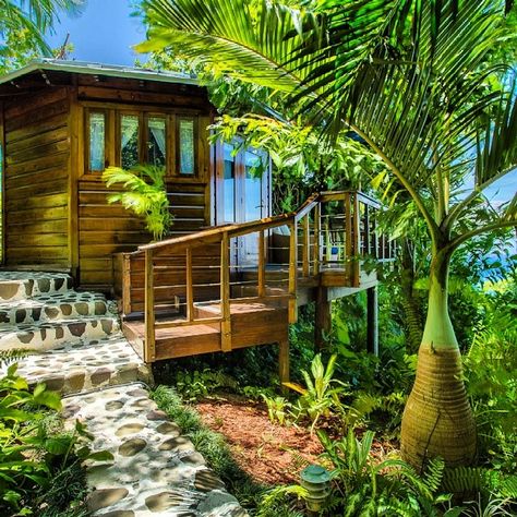 Hotels In Jamaica, Tropical Honeymoon Destinations, Cottage Design Plans, Caribbean Islands Vacation, Jamaica House, Jamaica Hotels, Tropical Honeymoon, Caribbean Homes, Honeymoon Island