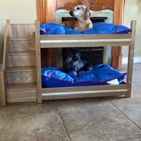 Needed! Dog Bunk Beds, Pallet Dog House, Wooden Dog Bed, Dog Bedroom, Cute Dog Beds, Custom Dog Beds, Diy Dog Crate, Dog Corner, Dog House Bed