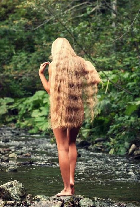 .✧°. on Twitter: "… " Extremely Long Hair, Super Long Hair, Long Blonde, Very Long Hair, Long Blonde Hair, Beautiful Long Hair, Dream Hair, Gorgeous Hair, Blonde Girl